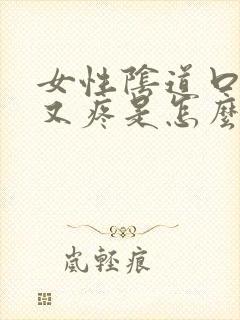 女性阴道口又痒又疼是怎么回事封面