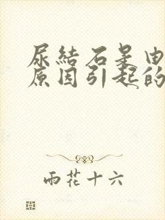 尿结石是由什么原因引起的