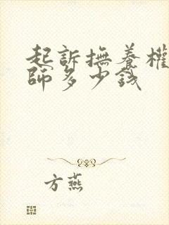 起诉抚养权请律师多少钱