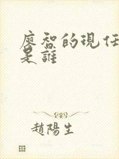 廖智的现任丈夫是谁