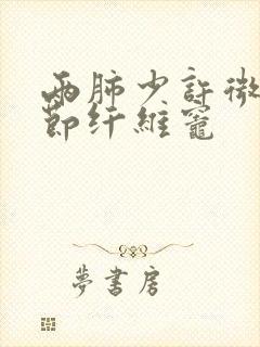 两肺少许微小结节纤维灶