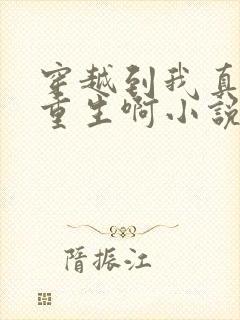 穿越到我真没想重生啊小说