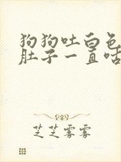 狗狗吐白色泡沫肚子一直咕咕叫