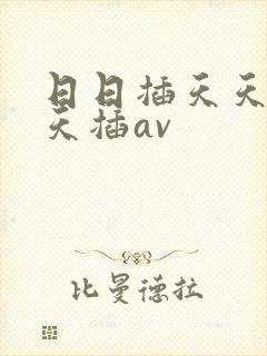 日日插天天操天天插av