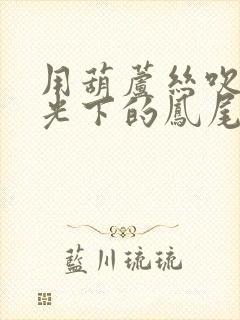 用葫芦丝吹奏月光下的凤尾竹