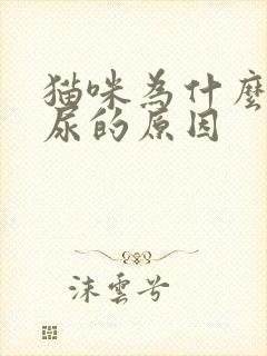 猫咪为什么会闭尿的原因