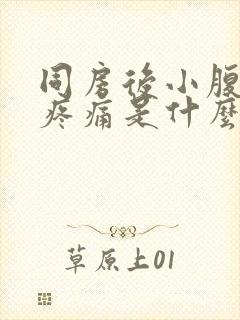 同房后小腹左边疼痛是什么原因 女性