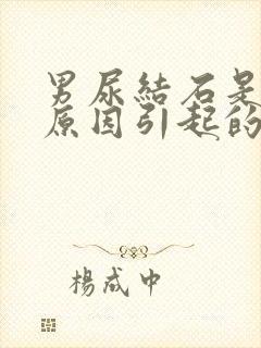 男尿结石是什么原因引起的啊封面