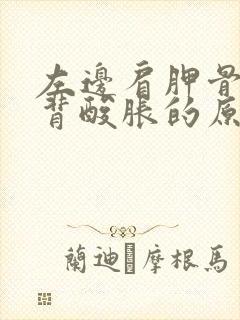 左边肩胛骨处后背酸胀的原因封面