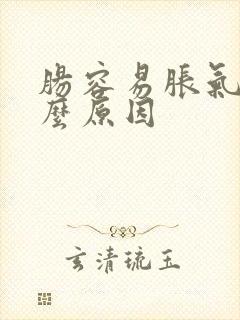 肠容易胀气是什么原因封面