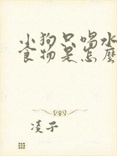 小狗只喝水不吃食物是怎么回事