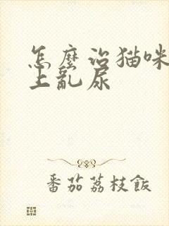 怎么治猫咪在床上乱尿