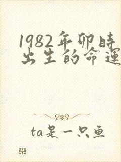 1982年卯时出生的命运