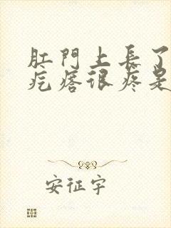 肛门上长了个肉疙瘩很疼是怎么回事