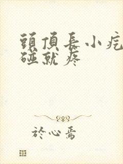 头顶长小疙瘩一碰就疼