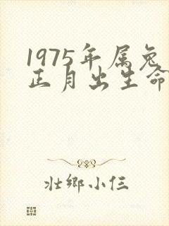 1975年属兔正月出生命运