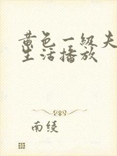 黄色一级夫妻性生活播放