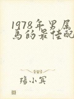 1978年男属马的最佳配偶属相