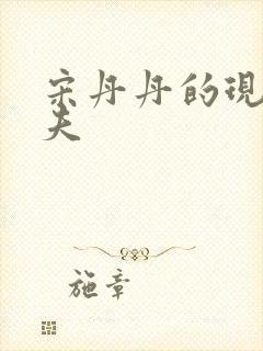 宋丹丹的现任丈夫