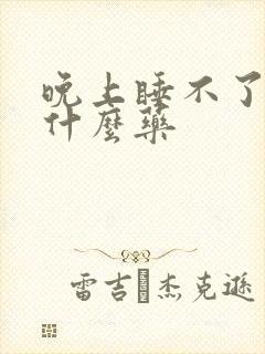 晚上睡不了觉买什么药