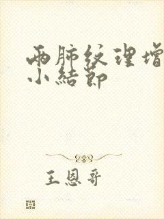 两肺纹理增多微小结节