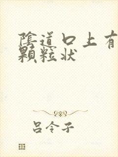 阴道口上有白色颗粒状