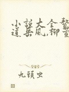 小说大全赘婿当道岳风,柳萱