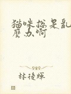 猫咪总是乱尿怎么办啊