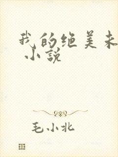 我的绝美未婚妻 小说