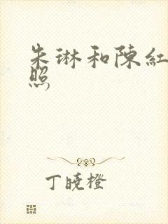 朱琳和陈红的合照