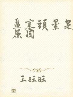 鼻塞头晕是什么原因