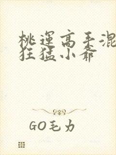 桃运高手混都市狂猛小爷