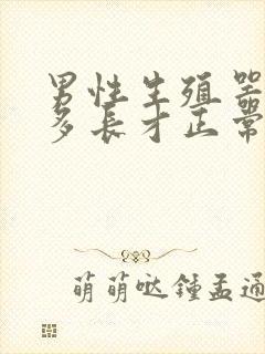 男性生殖器勃起多长才正常