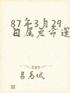 87年3月29日属兔命运怎么样