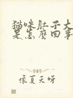 猫咪肚子大呕吐是怎么回事