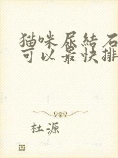 猫咪尿结石怎样可以最快排出来封面