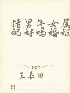 猪男牛女属相婚配好吗婚姻如何封面
