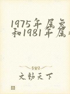 1975年属兔和1981年属鸡有姻缘吗封面