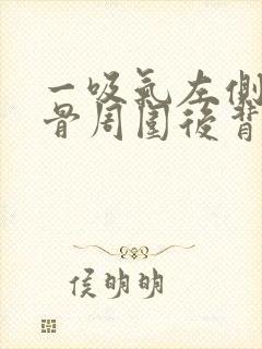 一吸气左侧肩胛骨周围后背里面疼