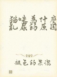 猫咪为什么乱拉乱尿的原因封面