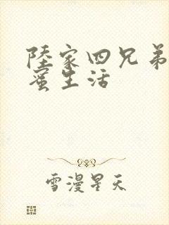 陆家四兄弟的甜蜜生活