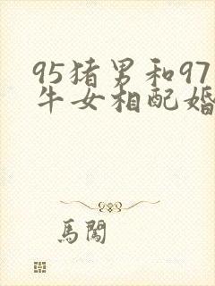95猪男和97牛女相配婚姻如何