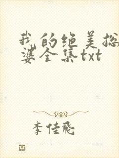 我的绝美总裁老婆全集txt封面