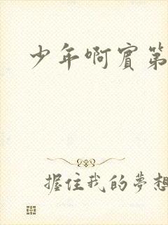 少年啊宾第二部封面