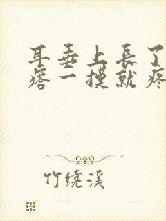 耳垂上长了硬疙瘩一摸就疼