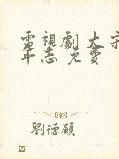 电视剧 大宋少年志 免费