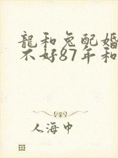 龙和兔配婚姻好不好87年和88年