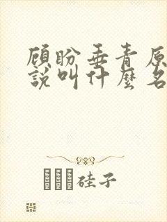 顾盼垂青原著小说叫什么名字
