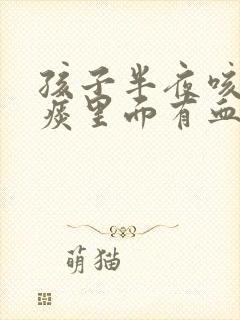 孩子半夜咳嗽吐痰里面有血怎么回事