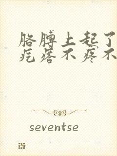 胳膊上起了几个疙瘩不疼不痒封面